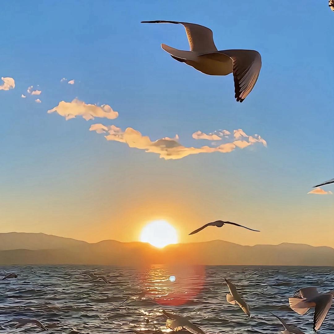 🍓快乐的甜甜圈