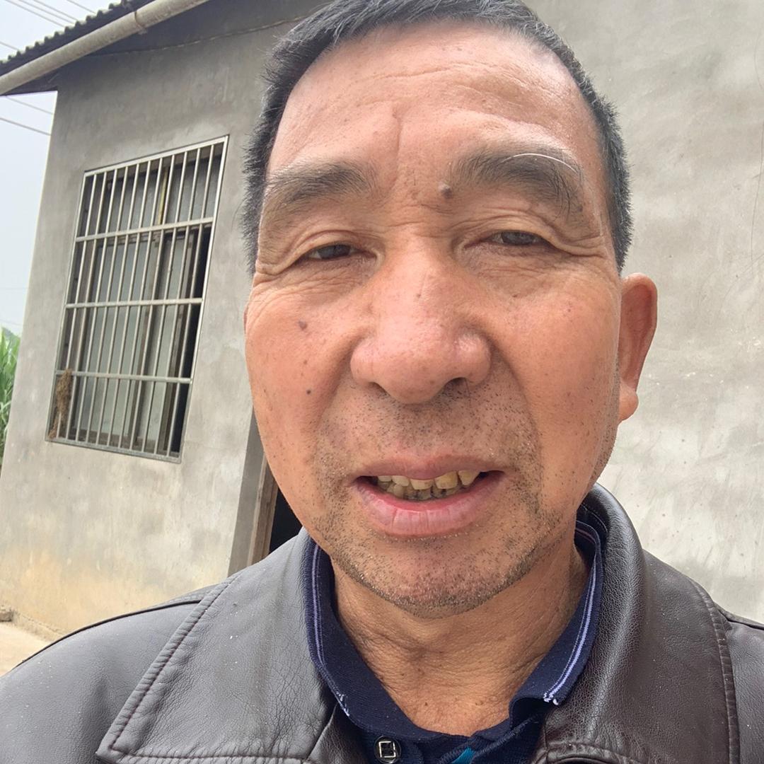 康八