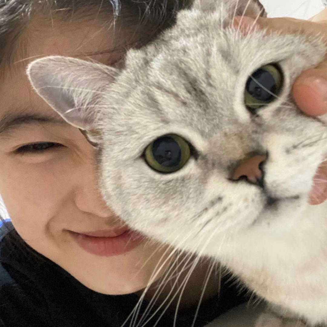养只猫
