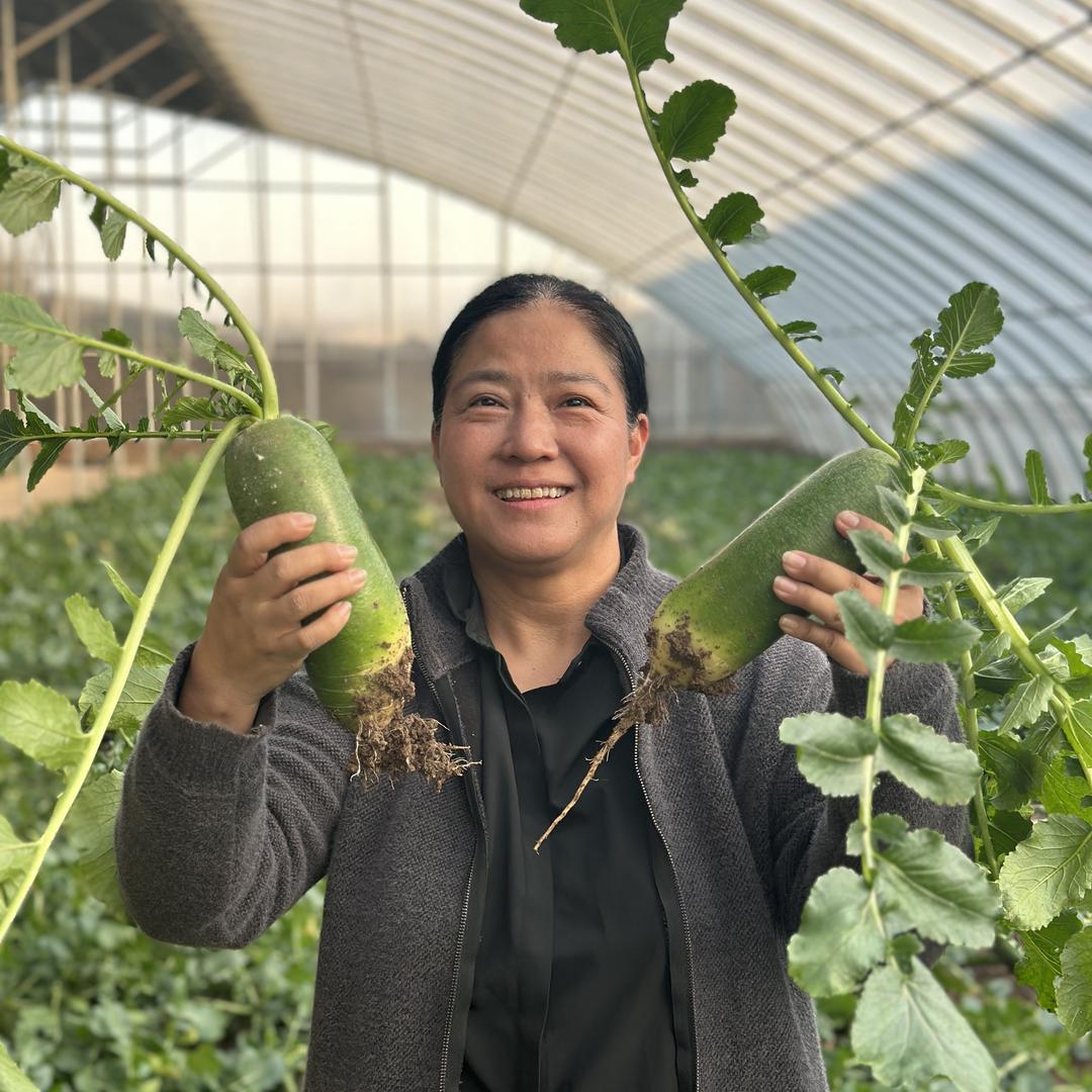 天津谷力果蔬农场