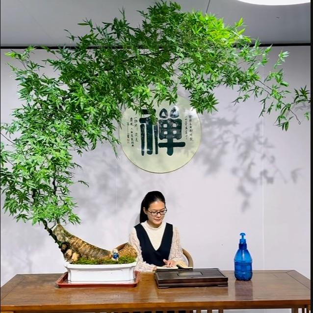 静韵园艺