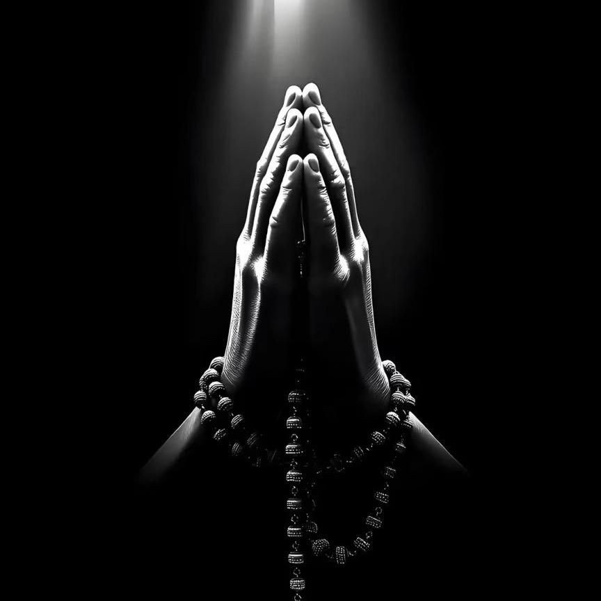 🍃🌺啊🌸🐍顺🌺