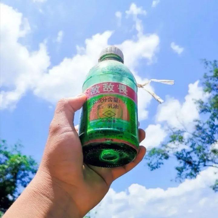 空 白 格