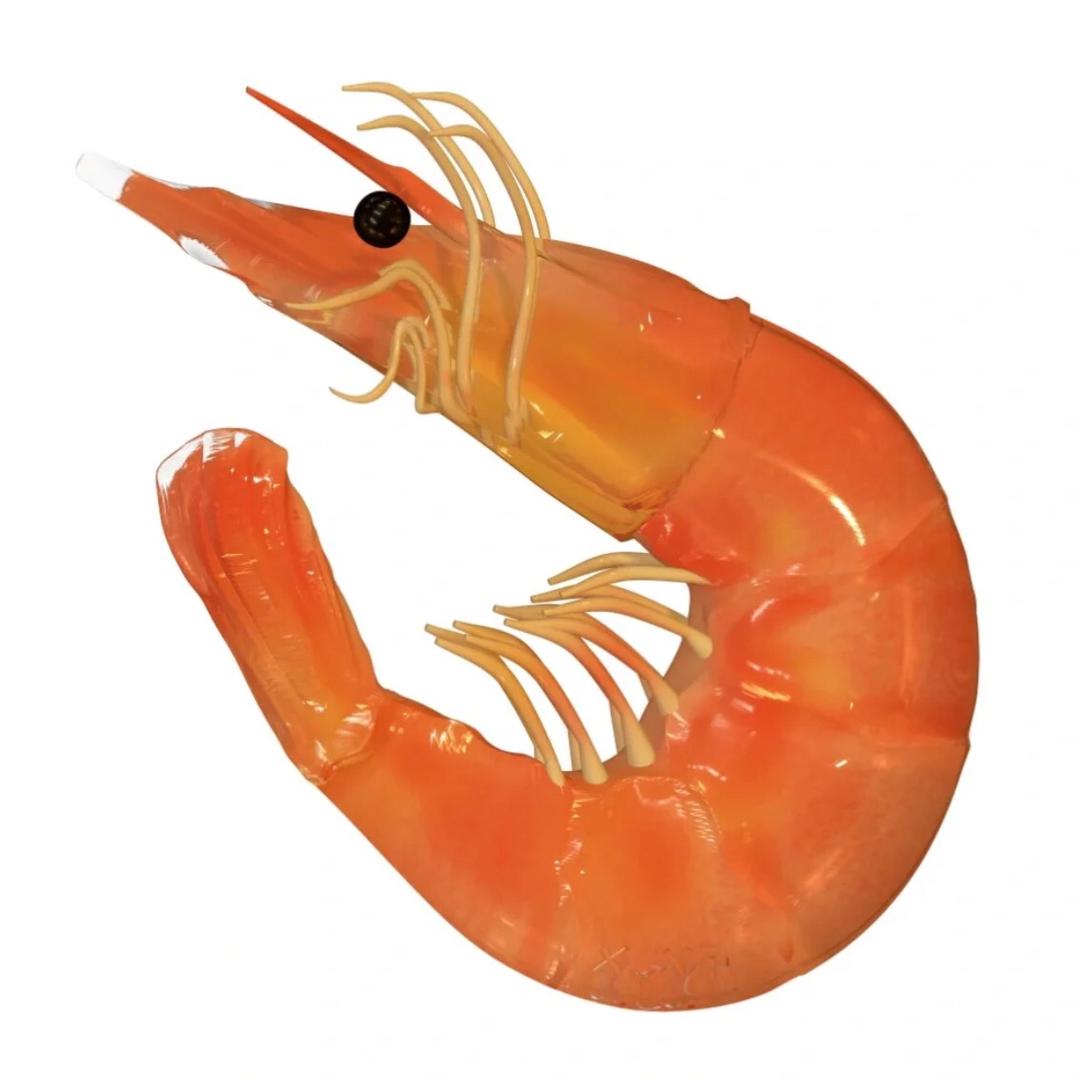 虫下