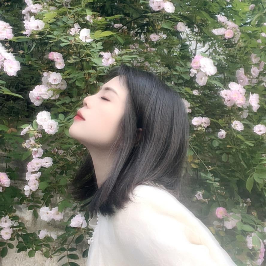 Y.m🐰