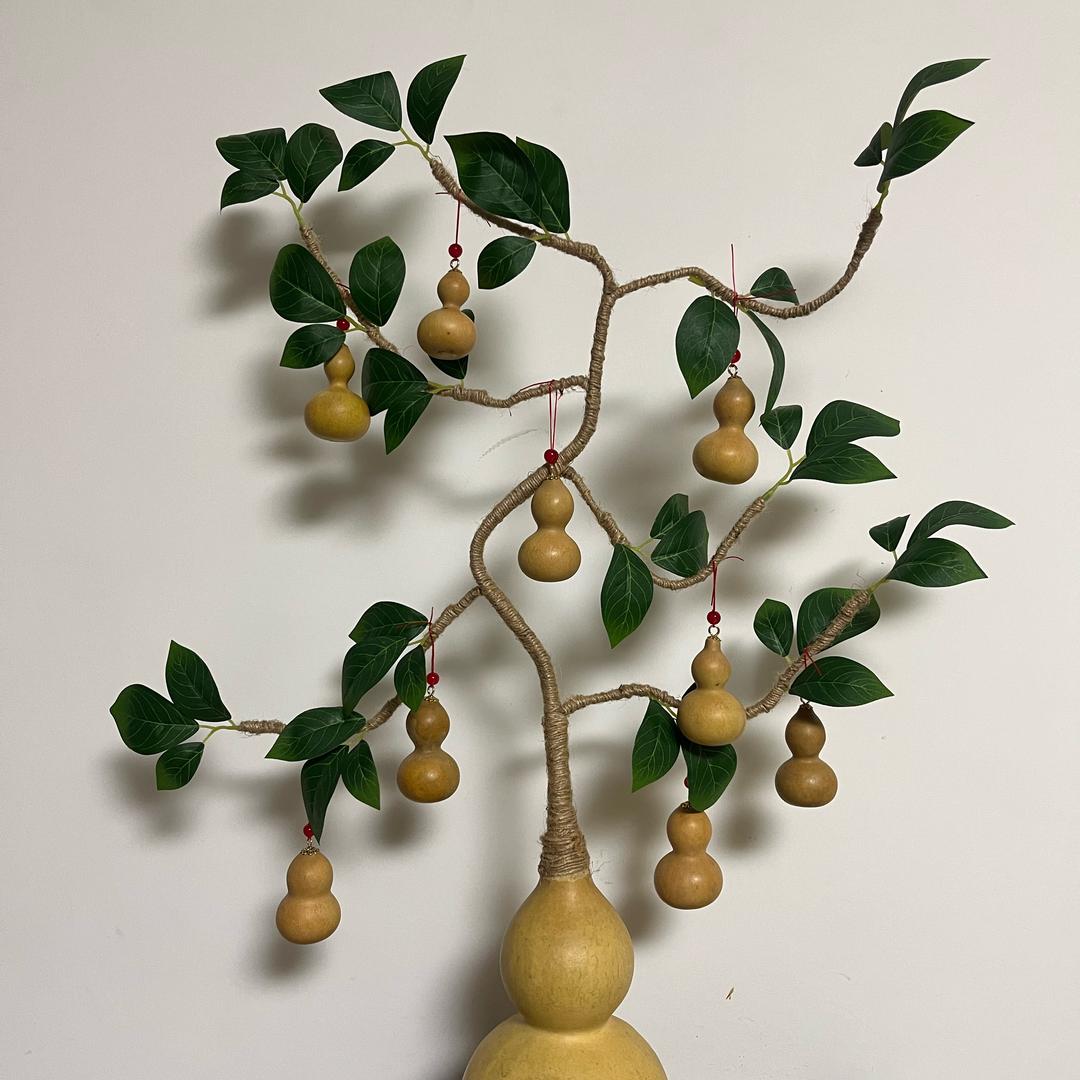 金锅家（福禄树）