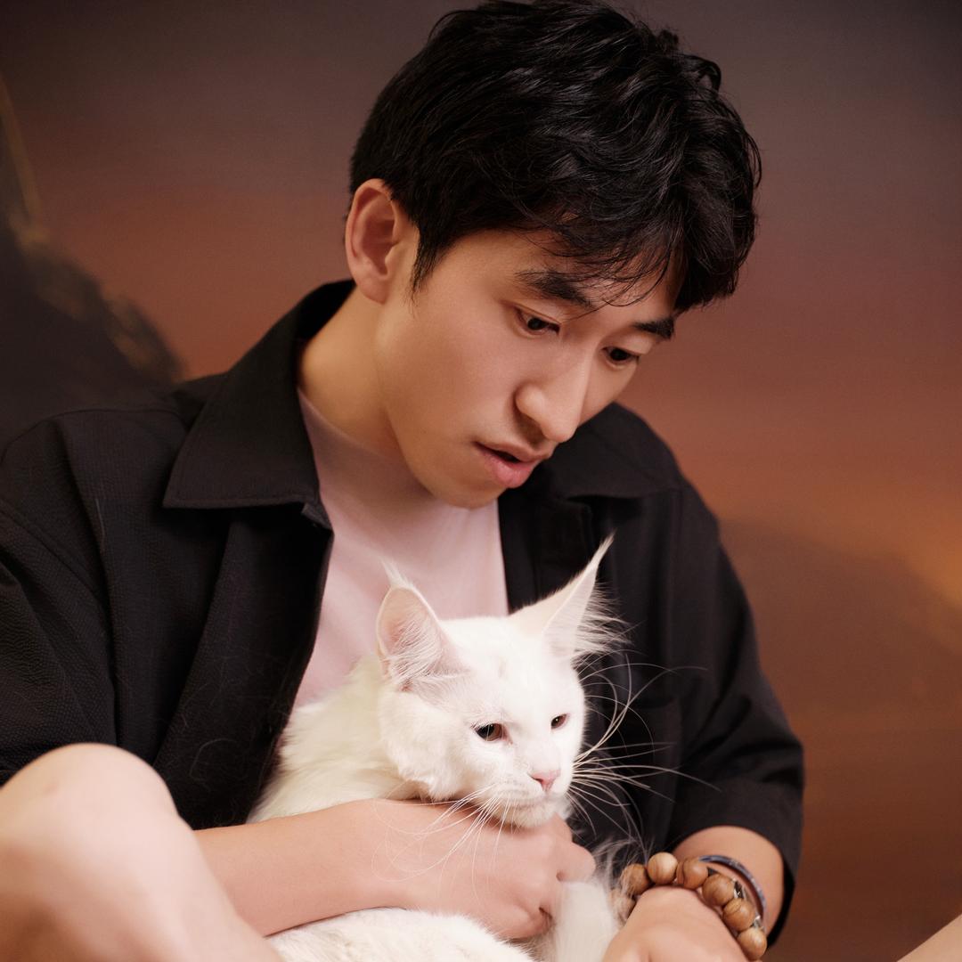 猫爸阿岳·缅因猫&德文猫