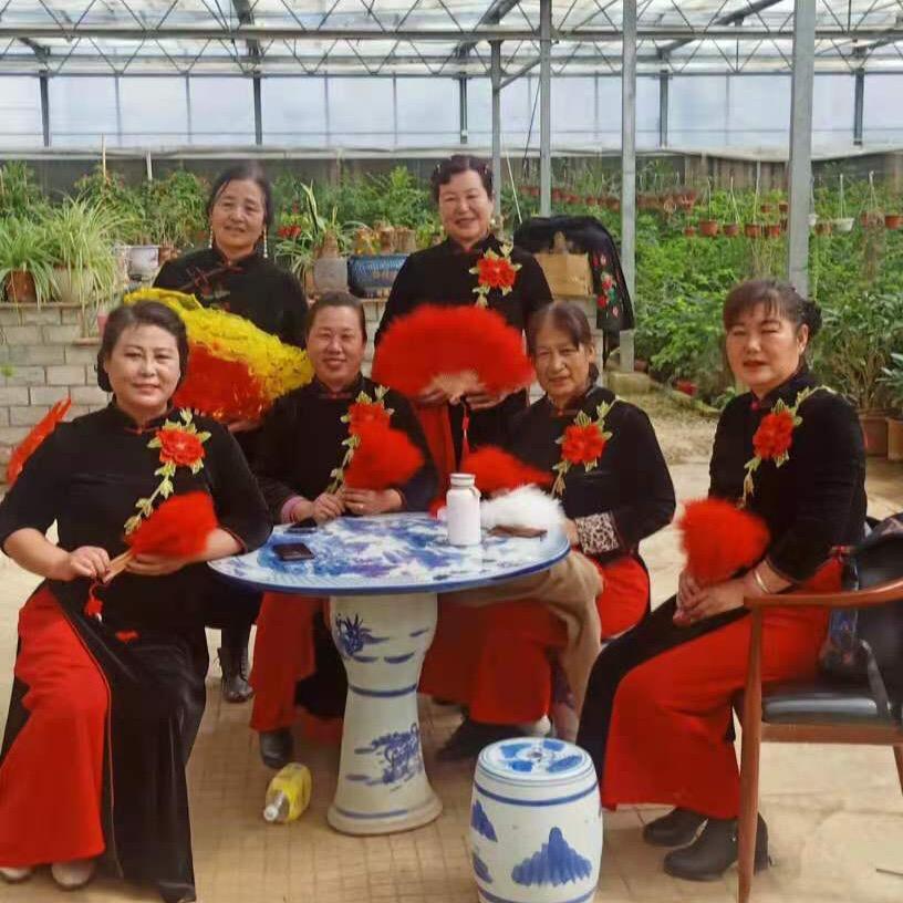 心如莲花