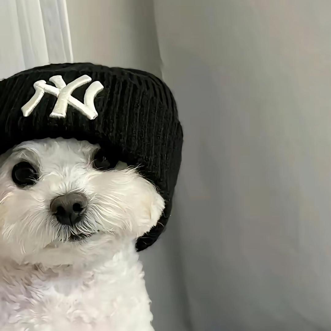 故离