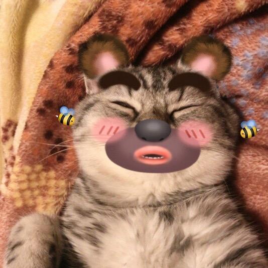 Gɴᴇᴍᴏᴀʜ.🧸