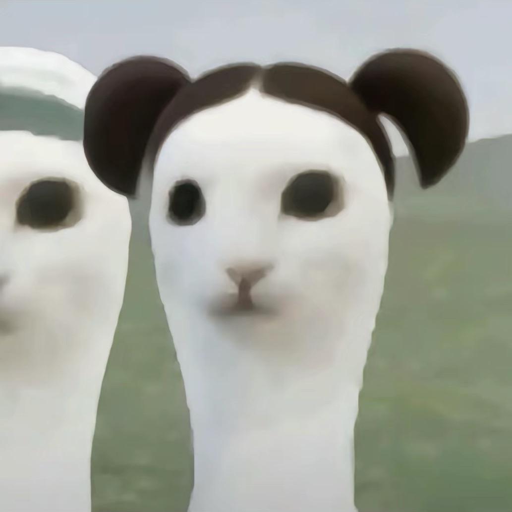 绝世忧郁小鱿鱼
