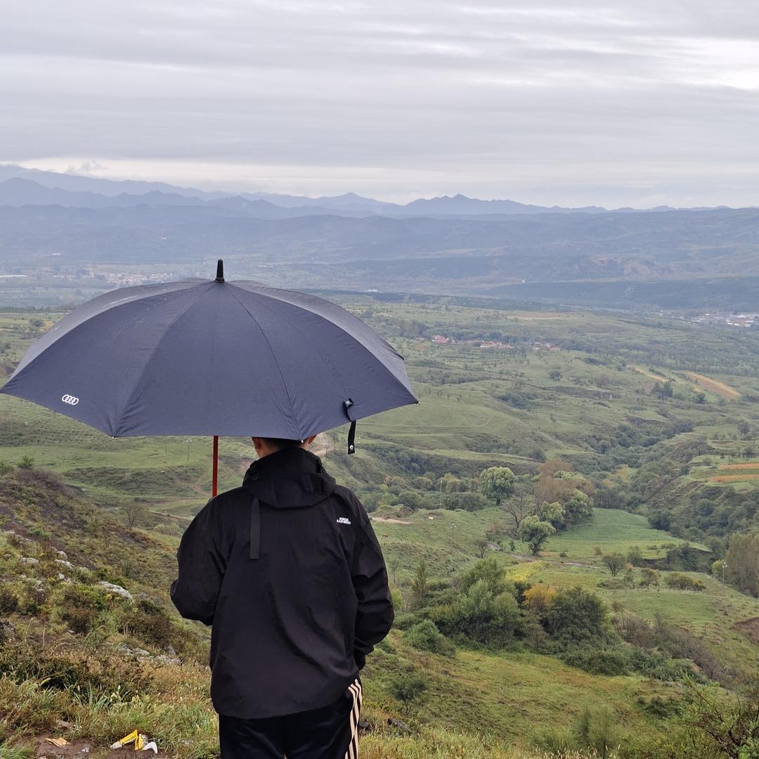 满腹经纶运动猿