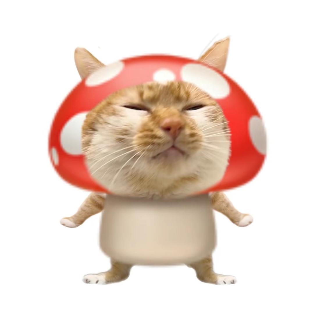 小卷大王