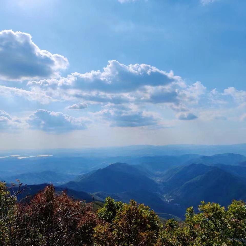 沈阳狄林防腐新材料技术咨询-张舒