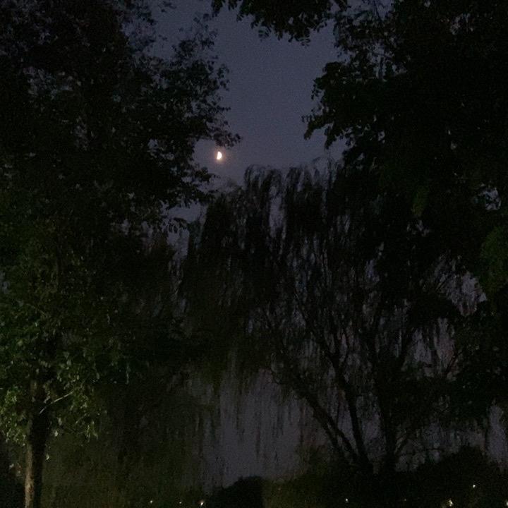 C焱