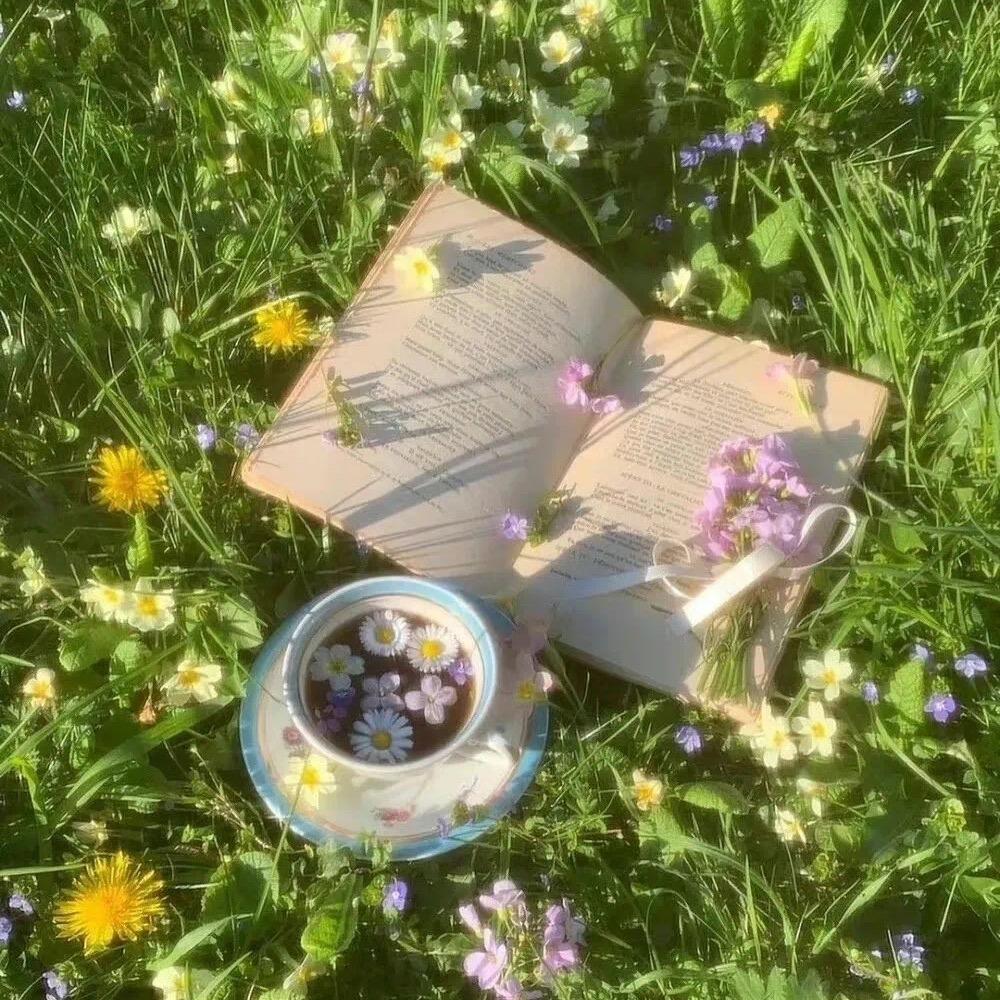 阿桃萌宠治愈🍑