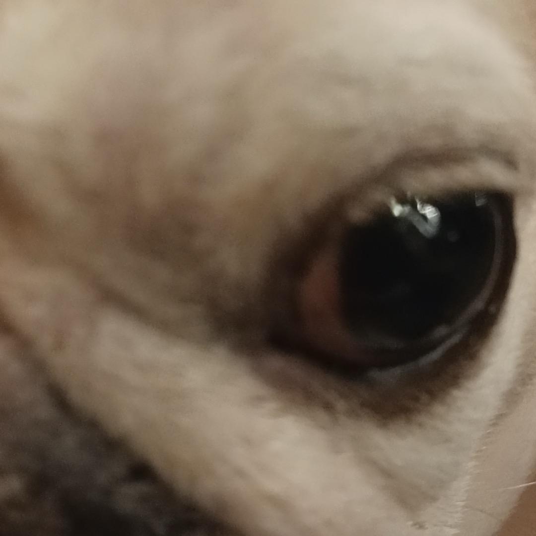 妈妈说名字太长会被发现