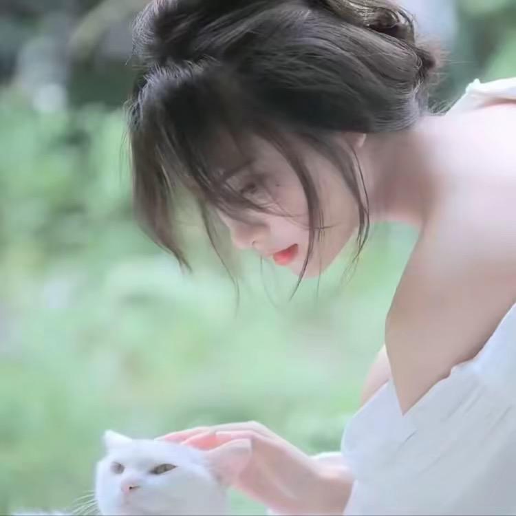 菠萝噗噗