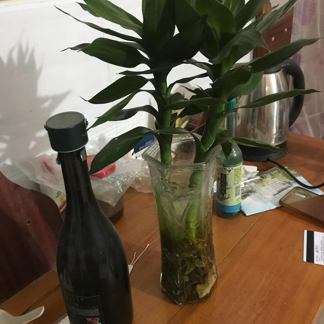 用户6575972046214往事随风