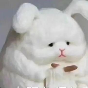 🌬大肥兔