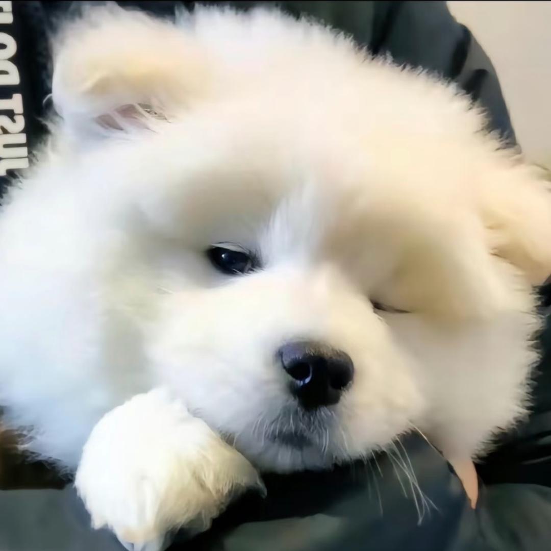 小匆