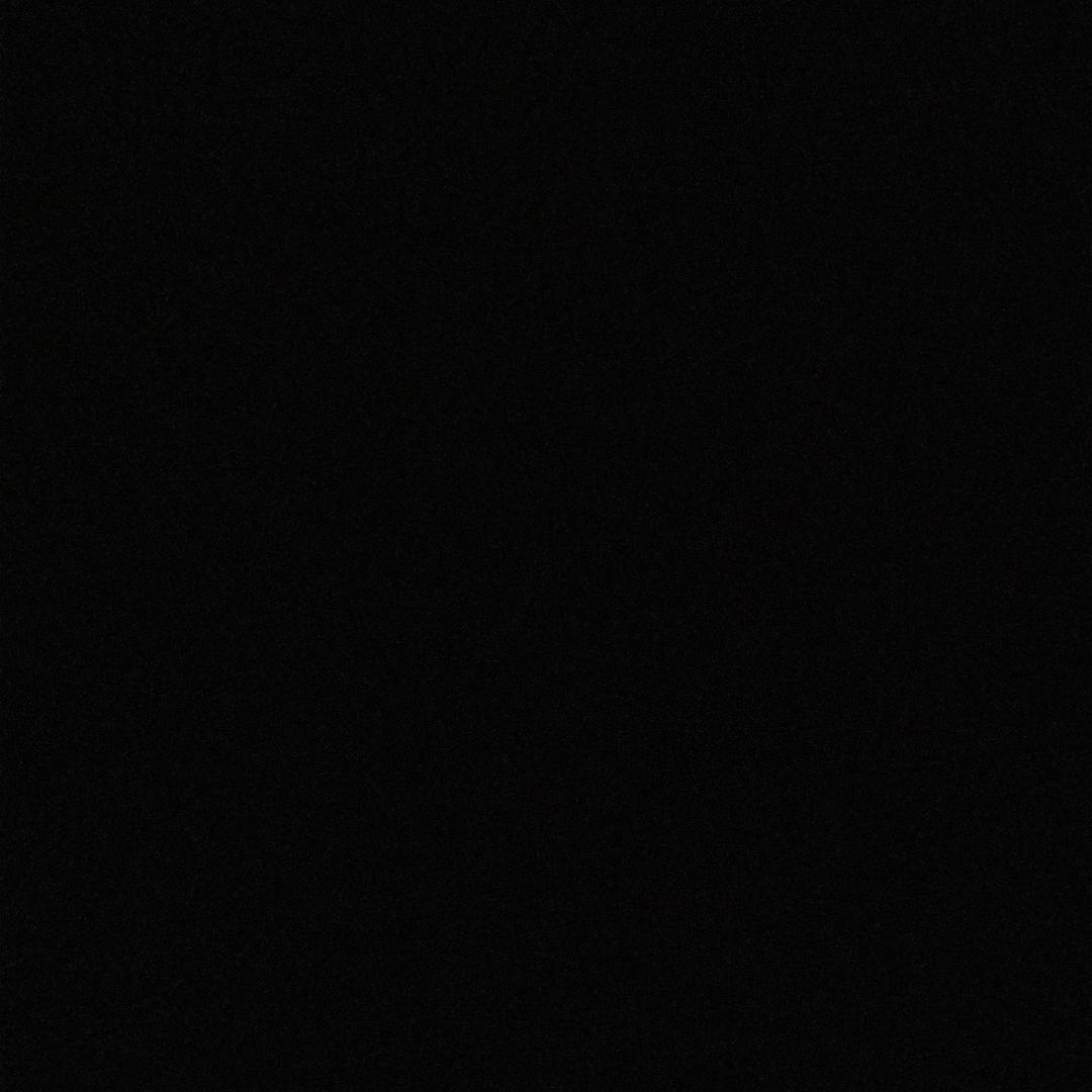 一份炒粉不加豆芽谢谢