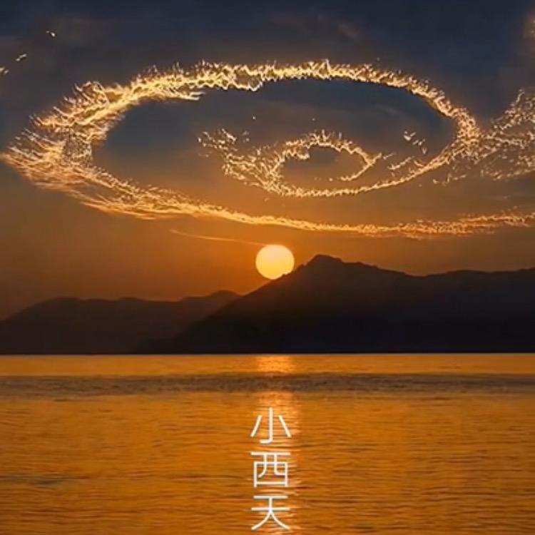 老夫回不到少年了