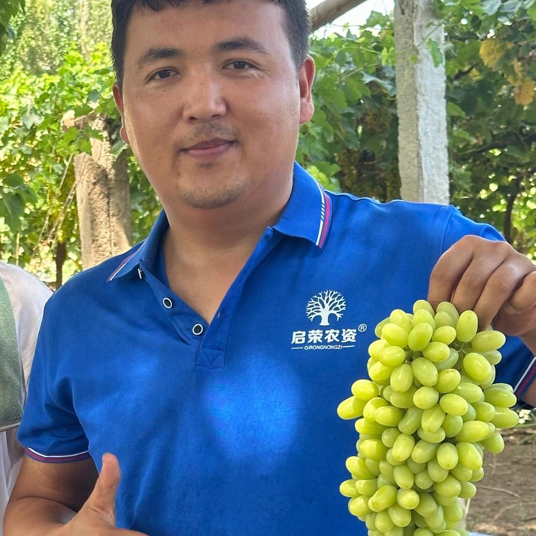 启荣农资买买提