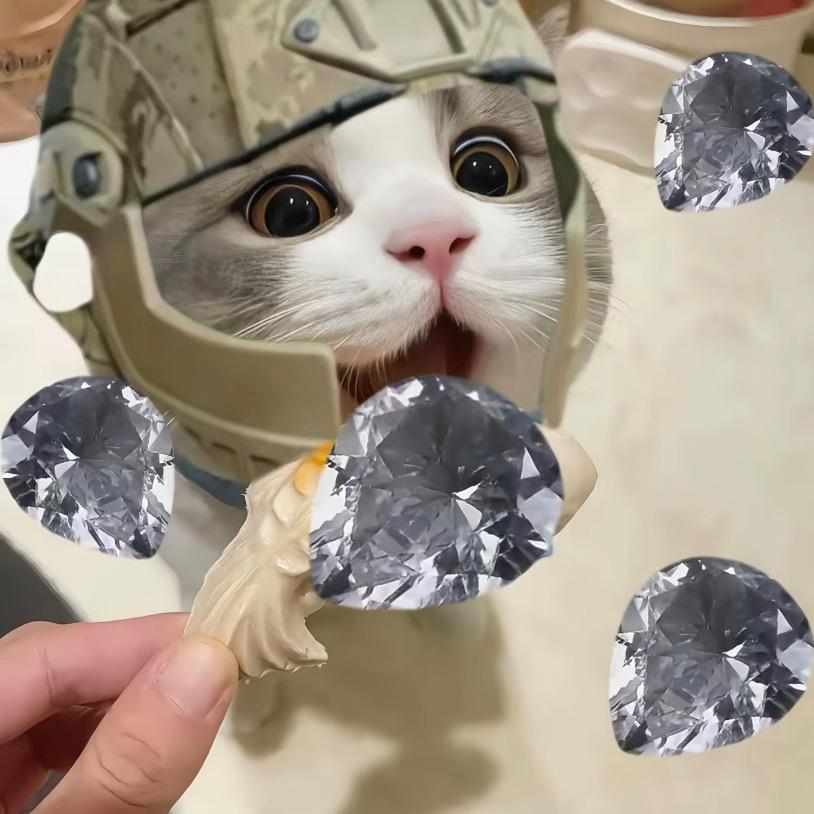 新名字还没想好！