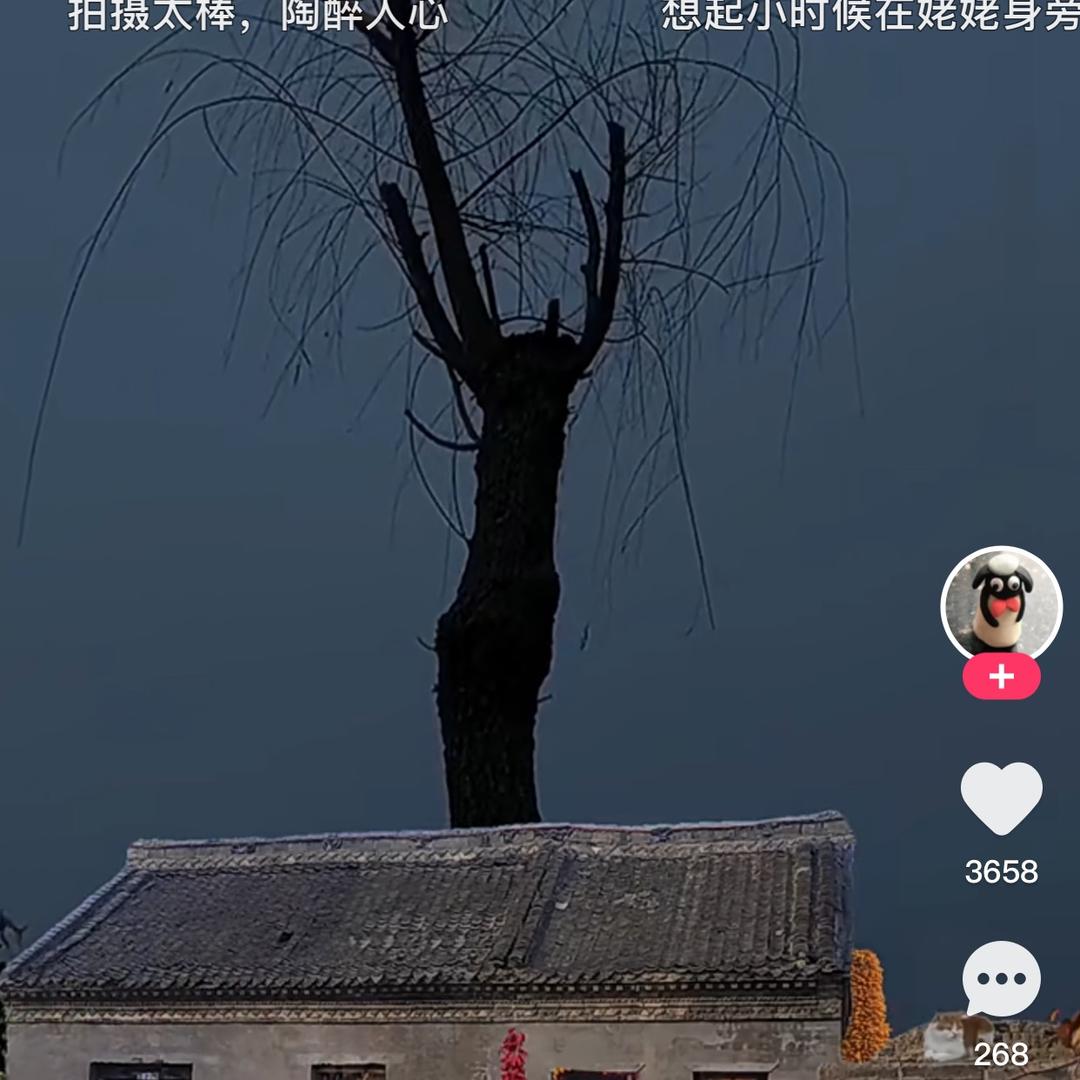 小伙伴，