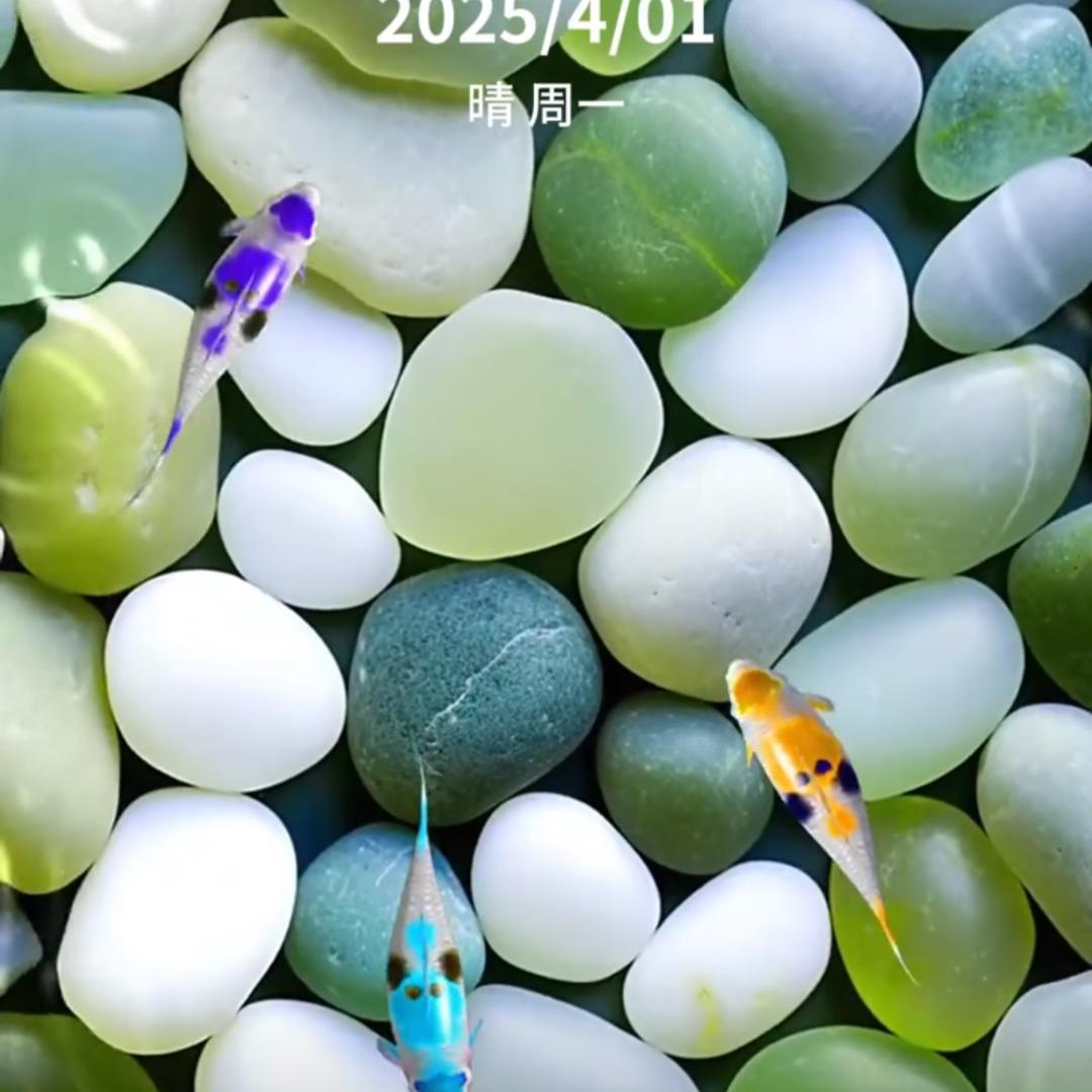 抖音惹的祸从此不再玩