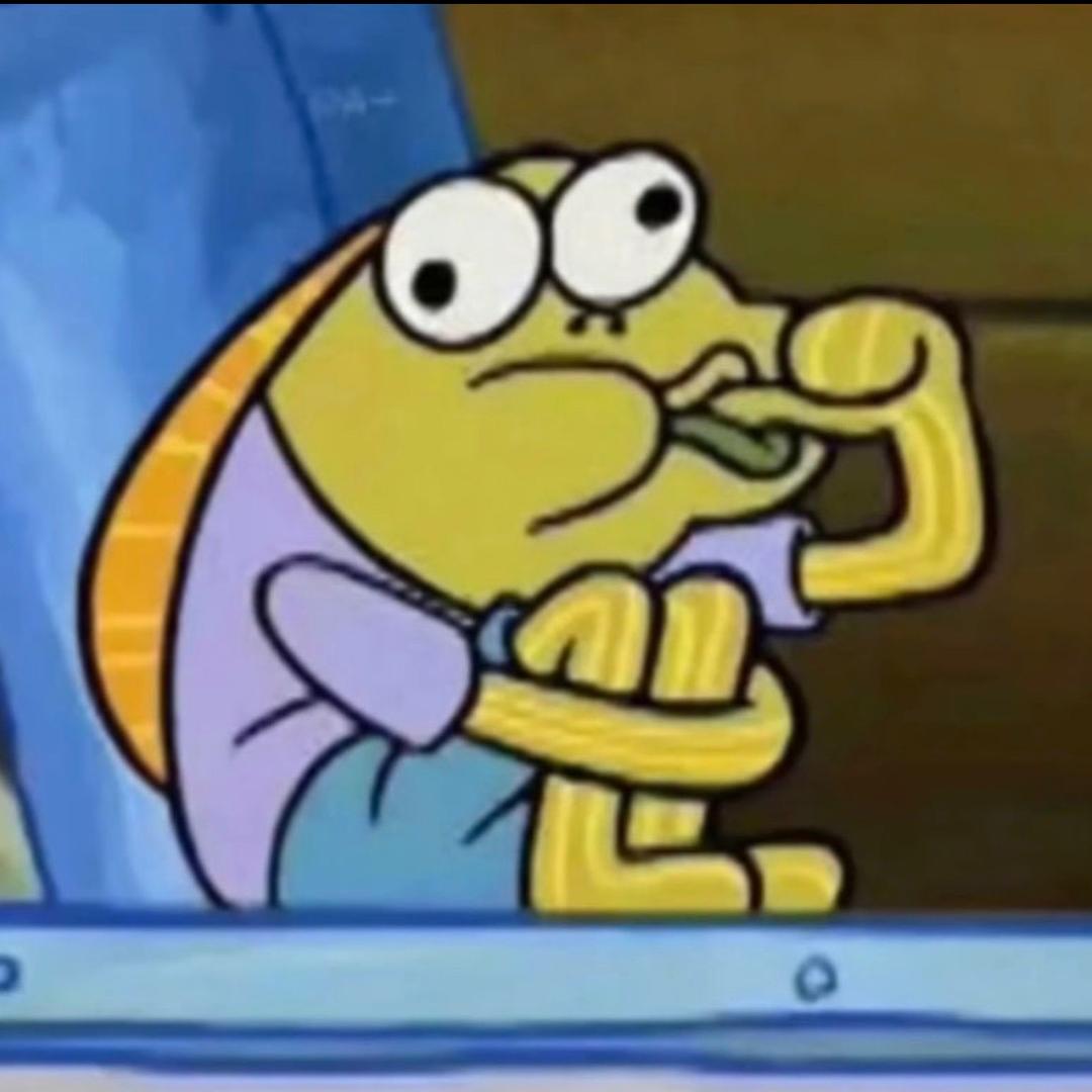 波力时光海苔🌊