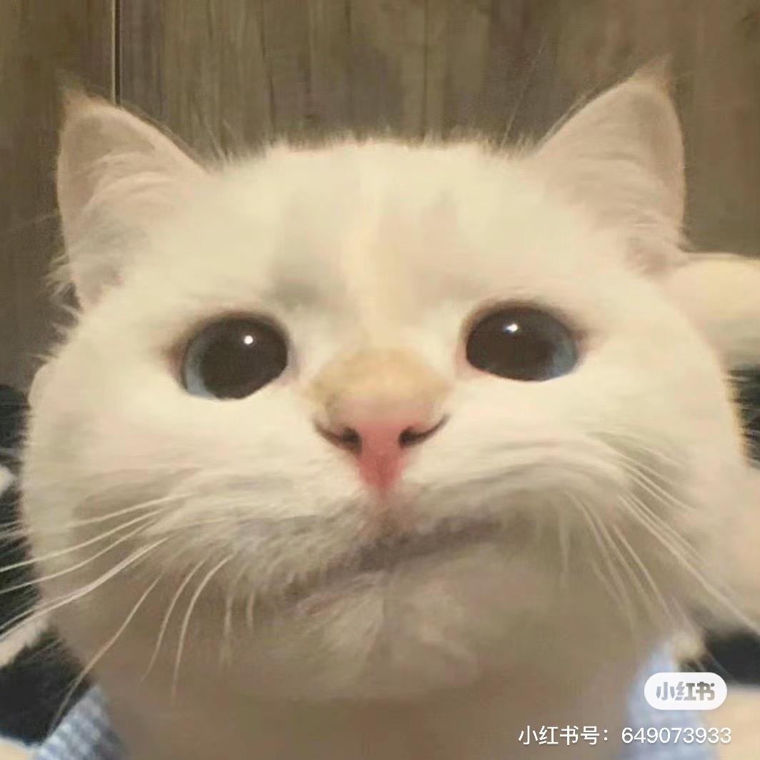 張壹