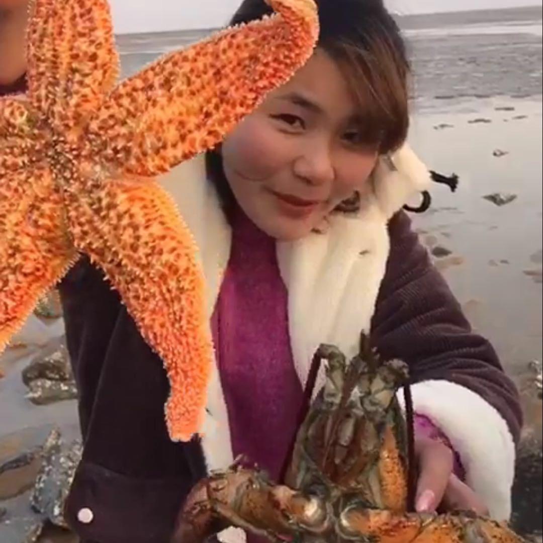 文文海鲜生鲜
