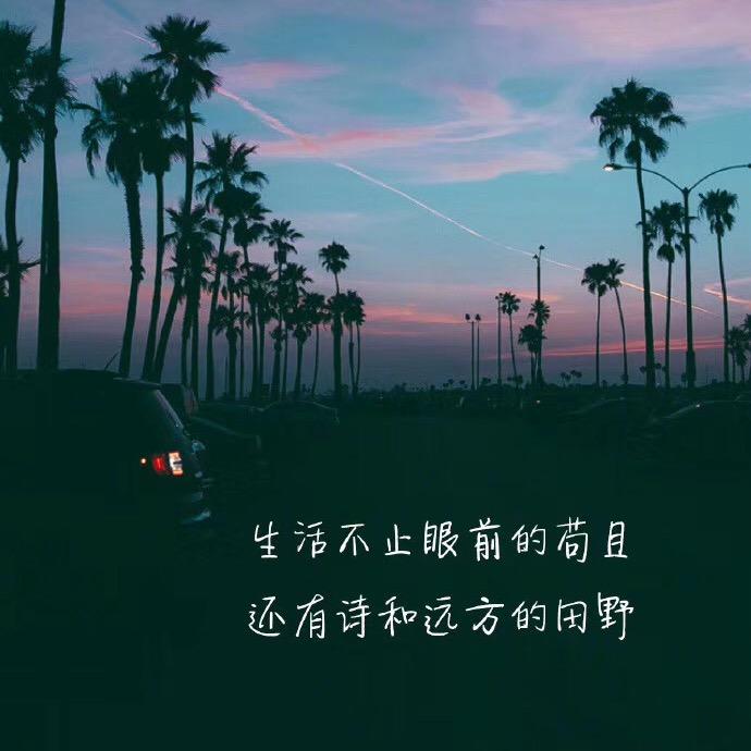 新城旧梦她与伞