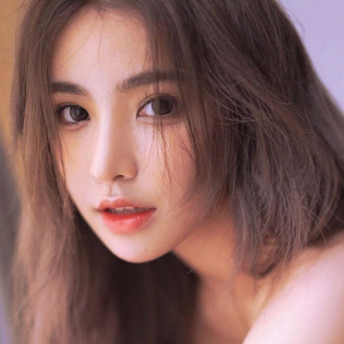 羊羊抗狼