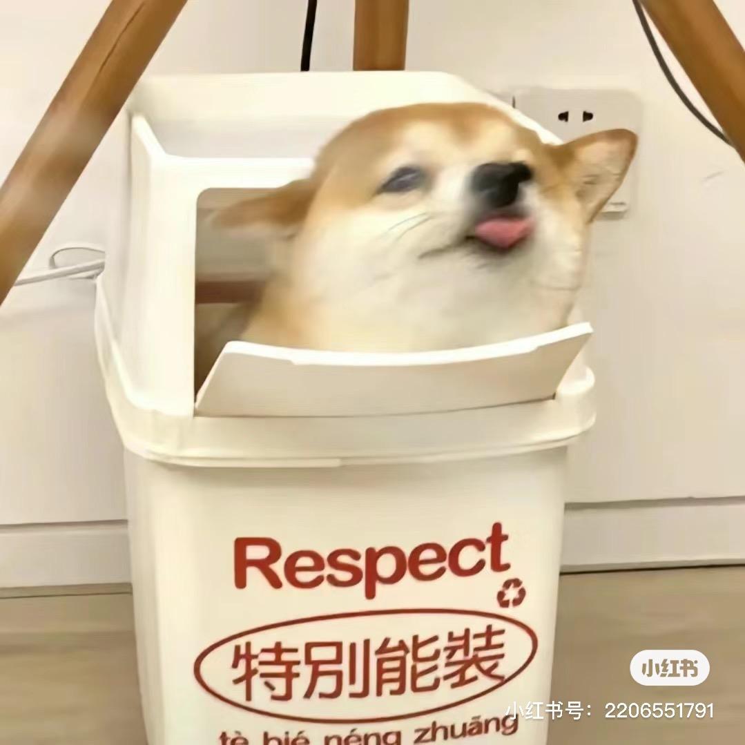 破碎小鑫