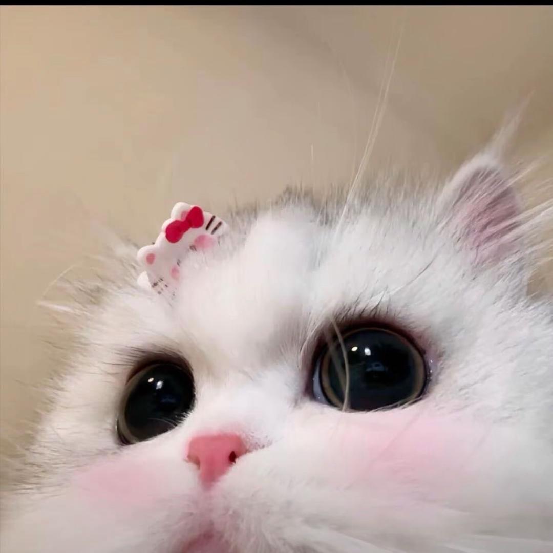 王大头03