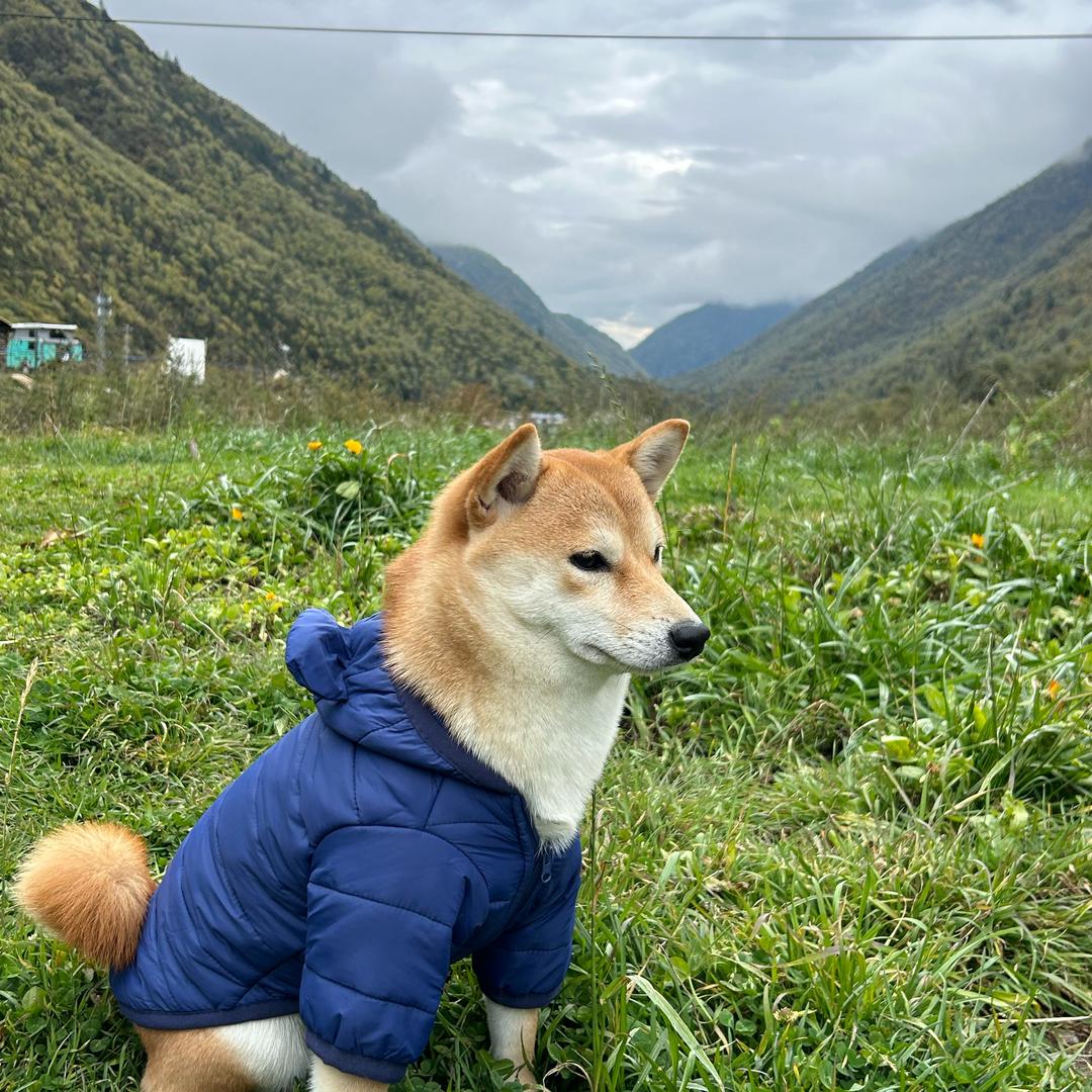 多宝
