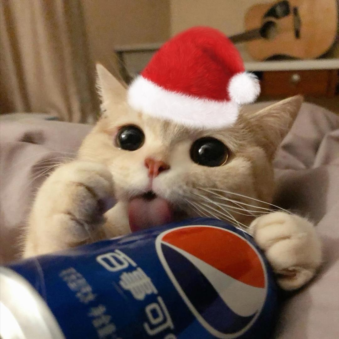 ACAねの海胆栗子