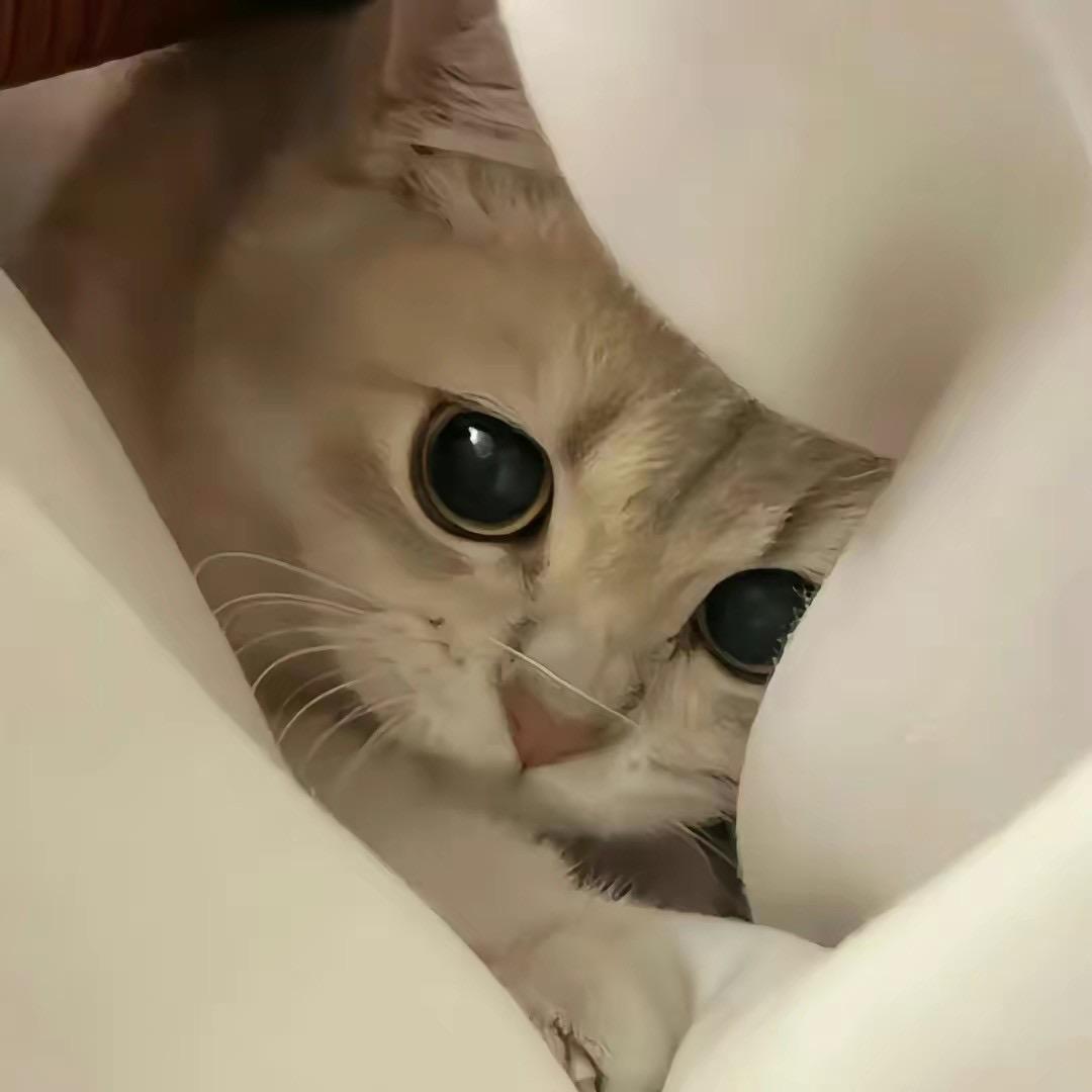 小小唯