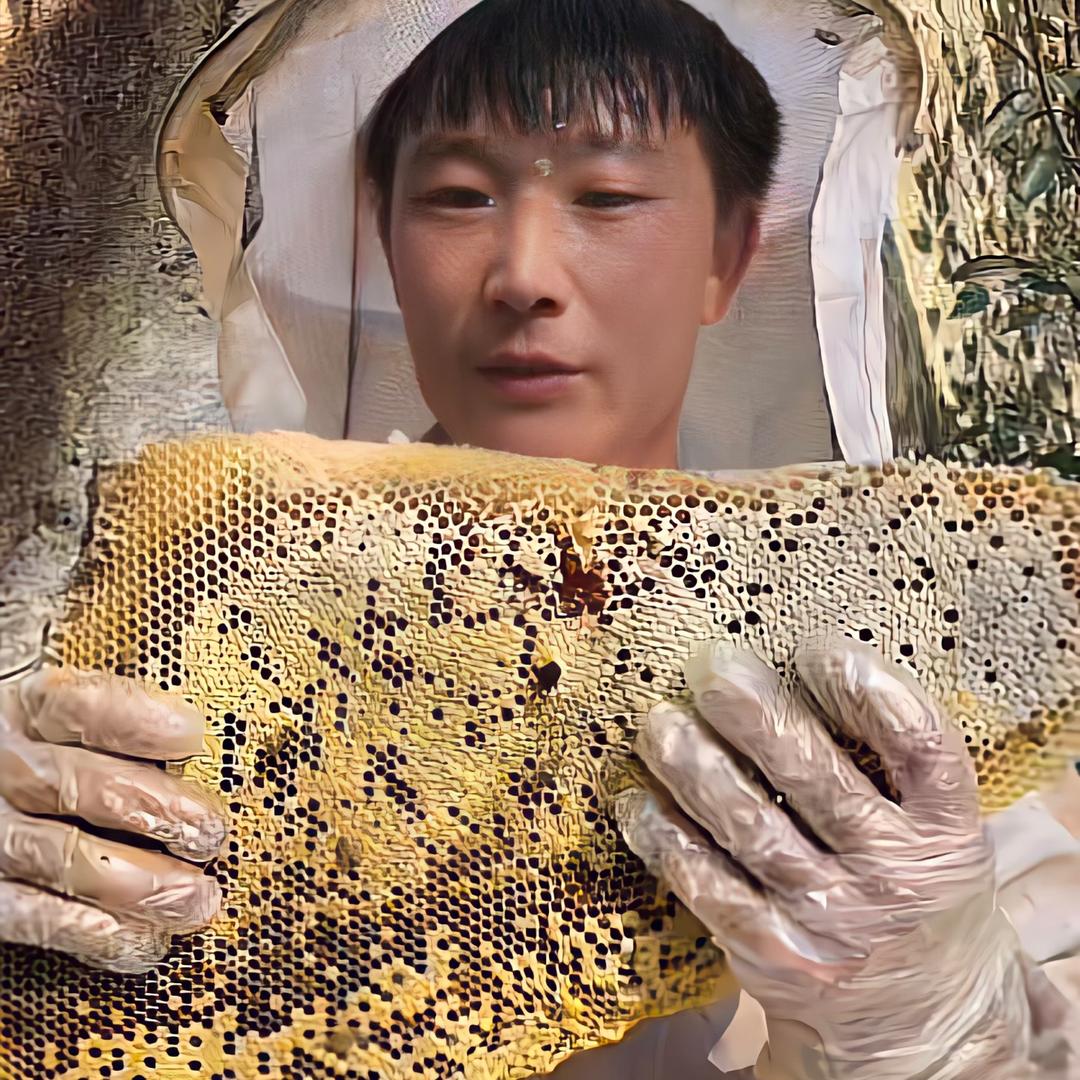蜂百味耗子户外