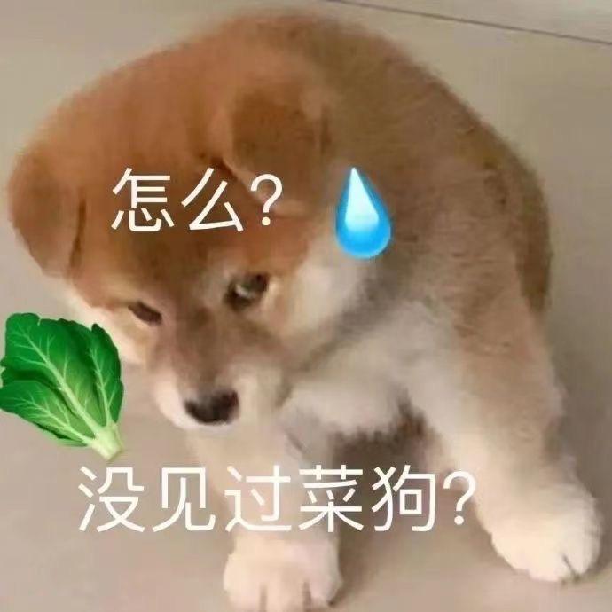 温柔放进腚缝里（三角洲行动）
