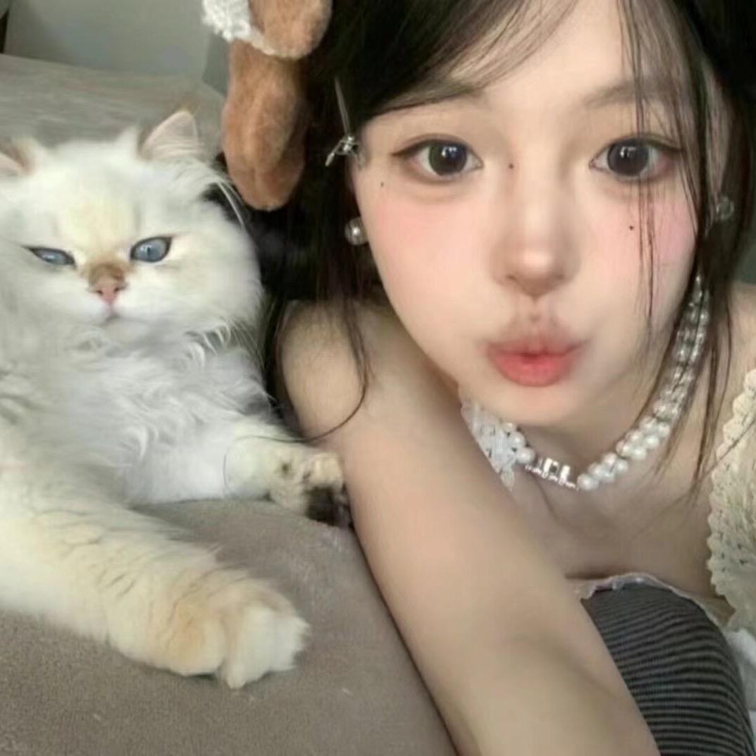 呆鱼🐟