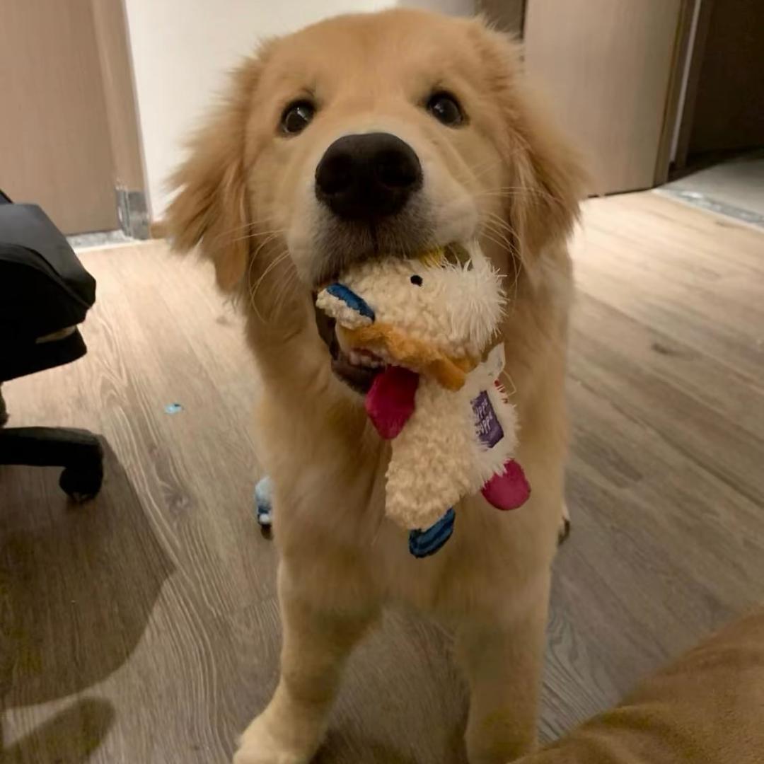 5yo
