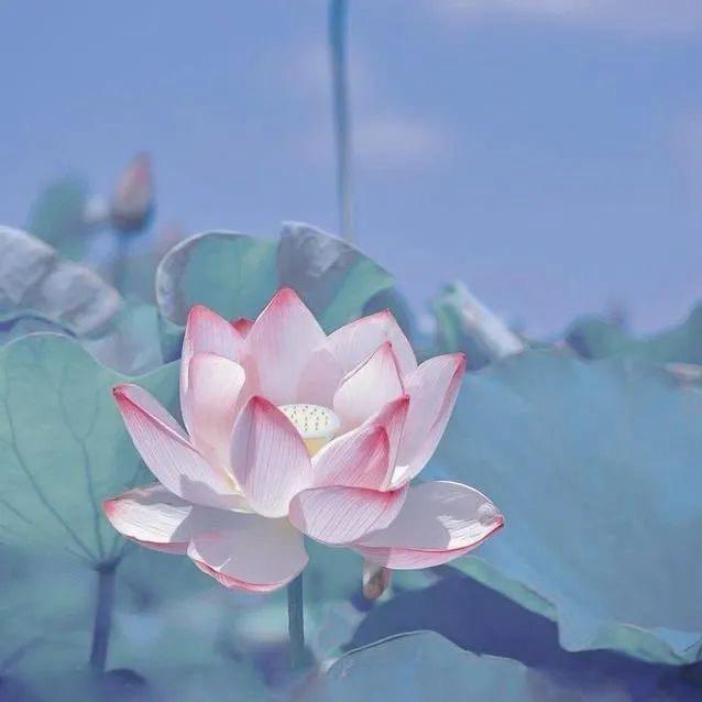 果戈里