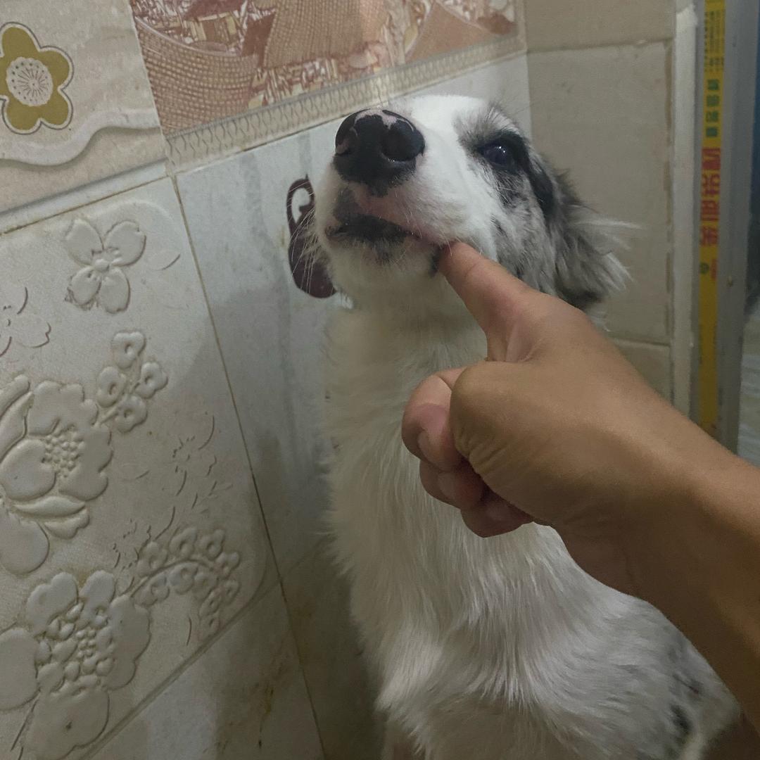 喜欢丑的￴ ￴￴   ￴