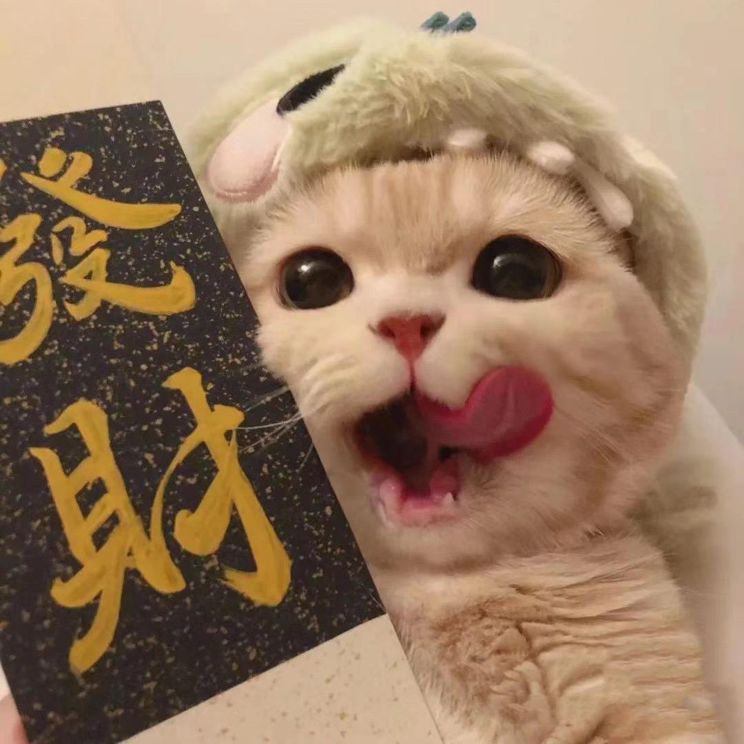 贝果