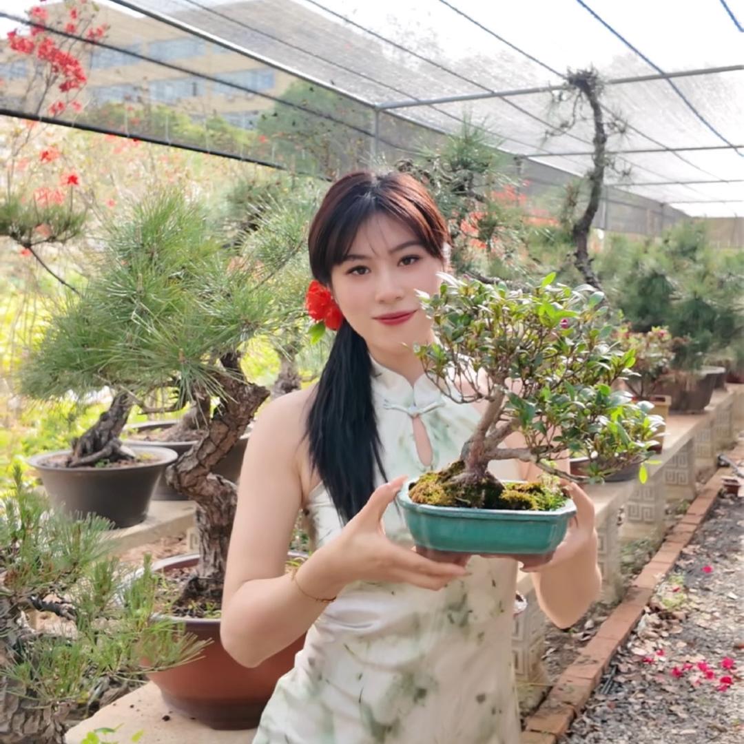 卖盆景的小萝莉