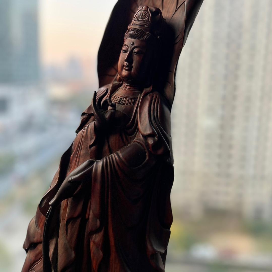 亚利亚健康人生